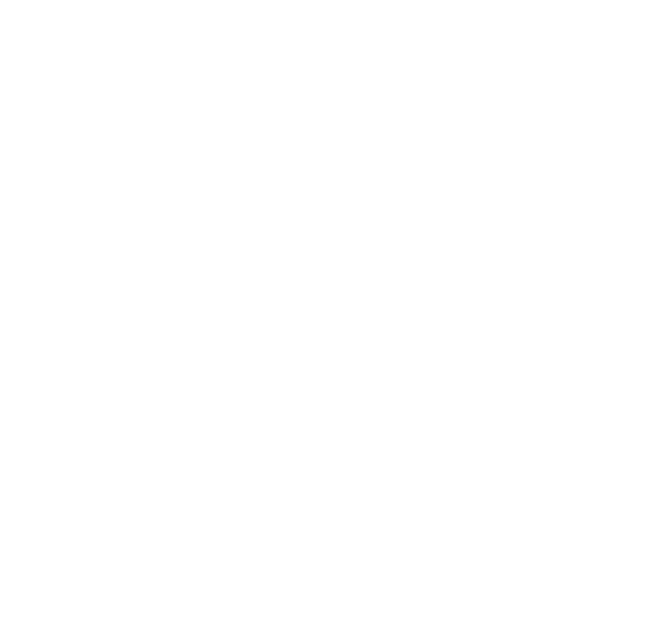 STEM Experience Center Logo in white